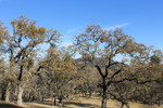 photo thumbnail #14