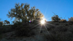 photo thumbnail #3