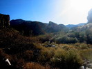 photo thumbnail #8