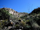 photo thumbnail #13