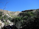 photo thumbnail #15