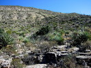 photo thumbnail #11