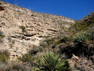 photo thumbnail #15