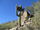 photo thumbnail #3