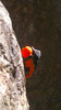 photo thumbnail #15