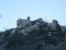 photo thumbnail #6
