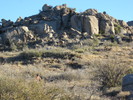 photo thumbnail #8