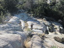 photo thumbnail #10