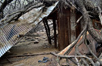 photo thumbnail #1