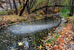photo thumbnail #9
