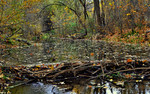 photo thumbnail #10