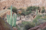 photo thumbnail #11