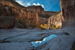 photo thumbnail #12