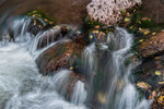 photo thumbnail #13