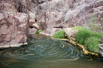 photo thumbnail #14