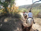 photo thumbnail #5