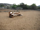 photo thumbnail #10