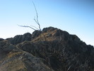 photo thumbnail #14