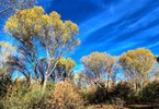 photo thumbnail #4