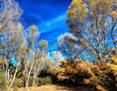 photo thumbnail #8