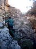 photo thumbnail #11