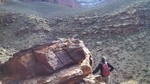 photo thumbnail #7