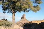 photo thumbnail #2
