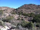 photo thumbnail #4