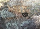 photo thumbnail #9