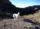 photo thumbnail #13