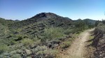 photo thumbnail #12