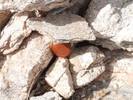 photo thumbnail #8