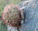 photo thumbnail #11