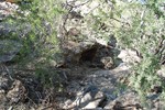 photo thumbnail #7