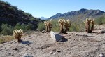 photo thumbnail #11