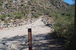 photo thumbnail #12