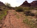 photo thumbnail #3