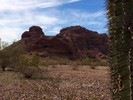 photo thumbnail #8