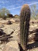 photo thumbnail #3