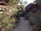 photo thumbnail #10