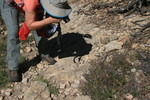photo thumbnail #2