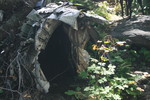 photo thumbnail #8