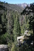 photo thumbnail #11
