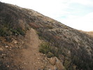 photo thumbnail #5