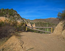 photo thumbnail #1