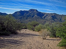 photo thumbnail #8