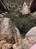photo thumbnail #14