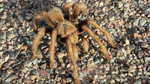 photo thumbnail #2