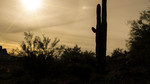 photo thumbnail #12