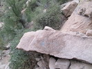photo thumbnail #8